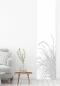 Preview: Flächenvorhang Reed24 lichtgrau L blanco, Schiebevorhang, Schiebegardine, modern, 60 cm breit, 2,65 m hoch, 3 m hoch